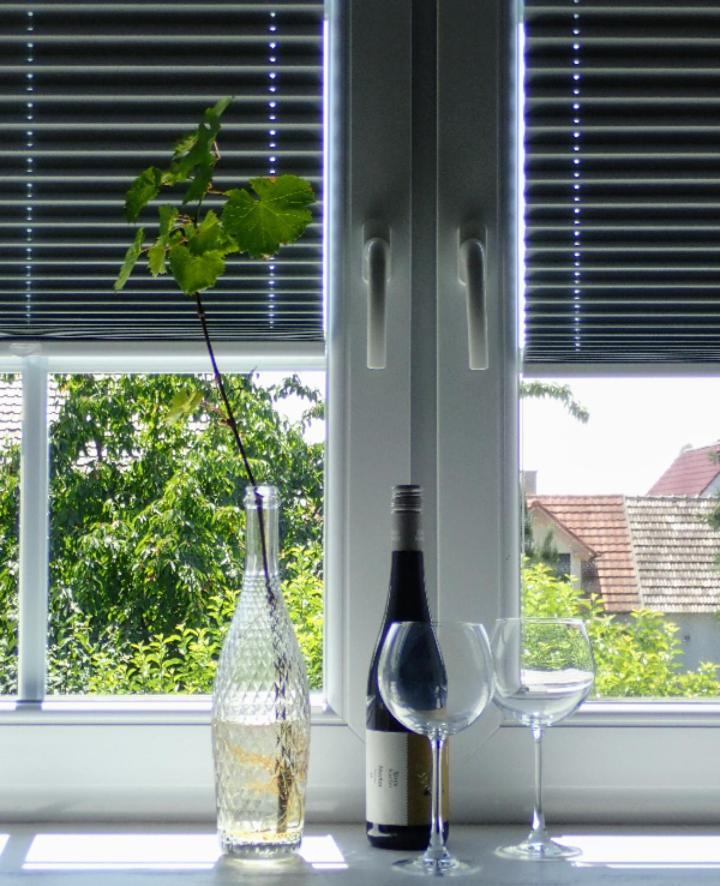 Apartament Oase Der Geborgenheit Venningen Zewnętrze zdjęcie